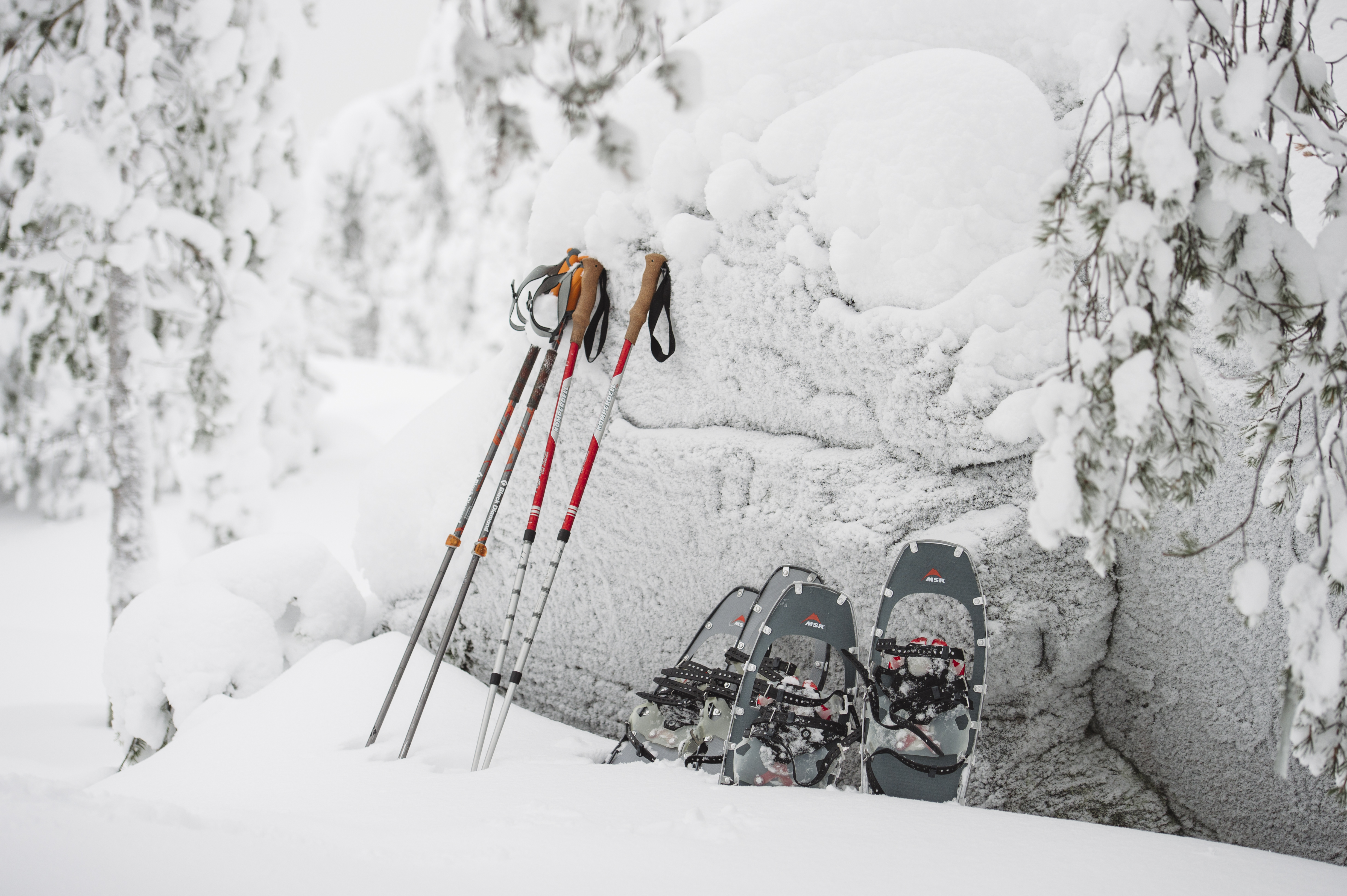 Snowshoes and poles in snow