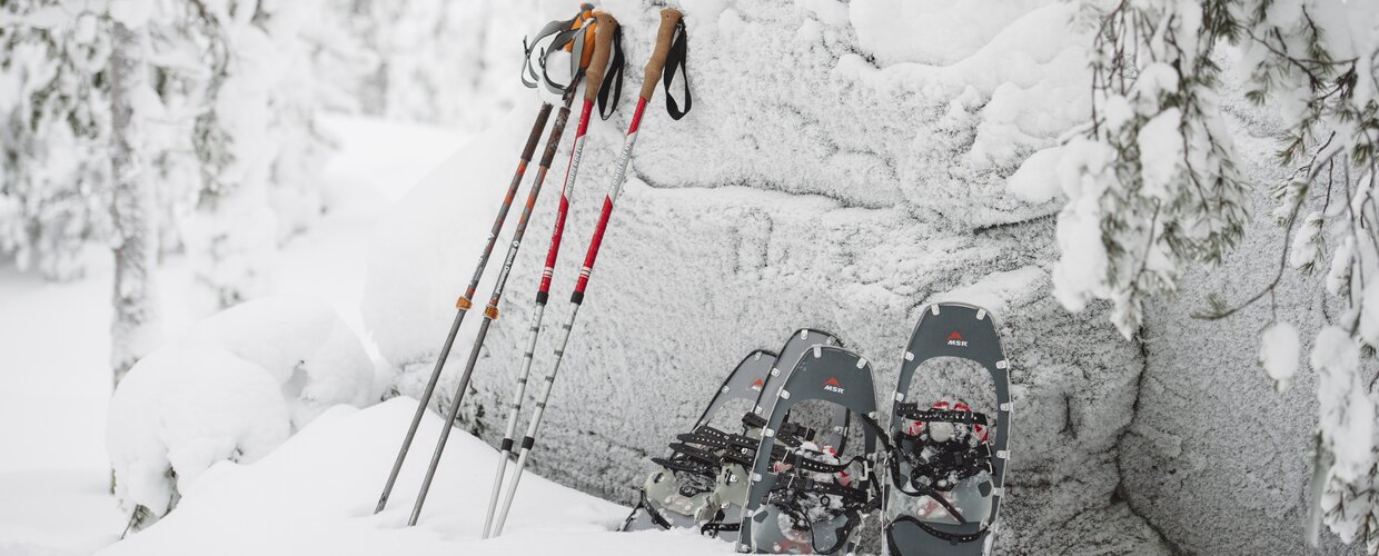 Snowshoes and poles in snow
