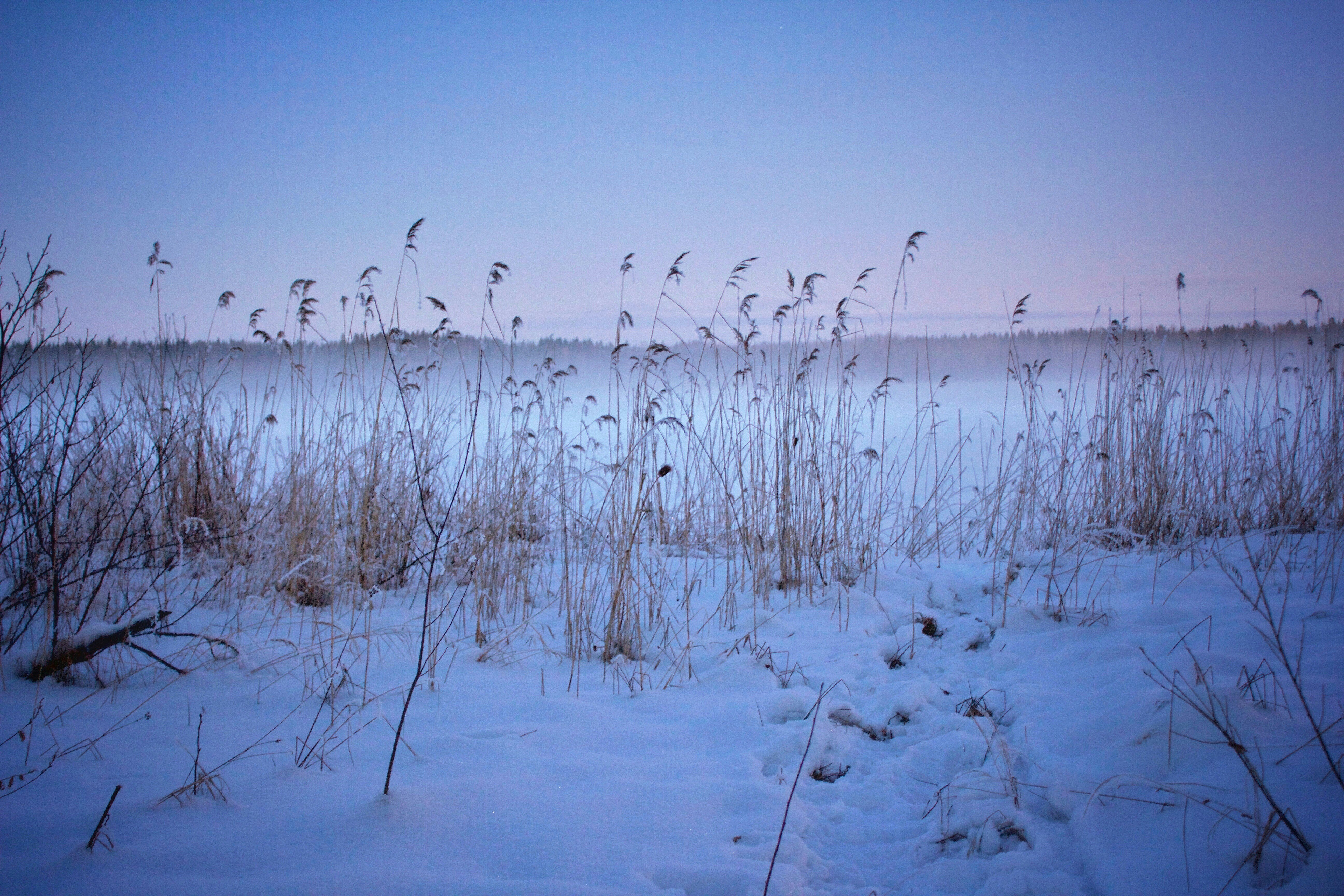 Lake Saimaa, Finland's largest lake