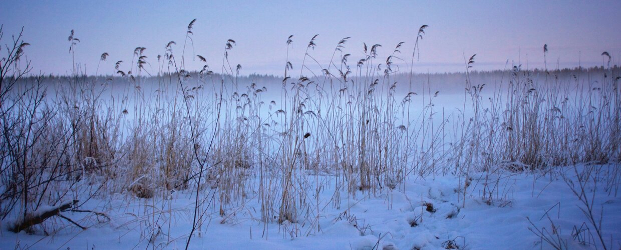 Lake Saimaa, Finland's largest lake